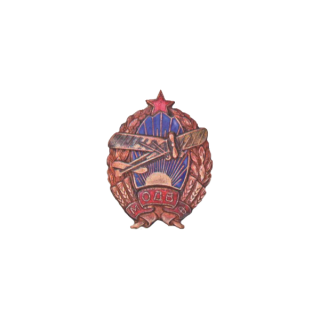 Знак Московского отделения ОДВФ (бронза, самолет накладной), Каталог значков СССР