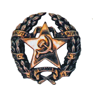 Почетный знак клуба граждан СССР в Шанхае, Знаки СССР