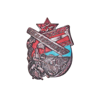 Знак ОСОАВИАХИМа Туркменской ССР (бронза)