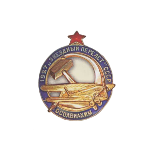 Знак &#8220;Звездный перелет&#8221;, Каталог значков СССР