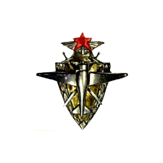 Знак «1 военная школа пилотов», Каталог значков СССР