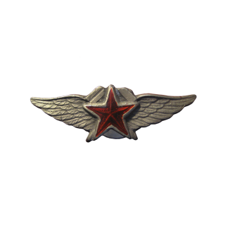 Знак «Авиационный техник спецслужб авиационно-технического училища ВВС РККА», Знаки СССР