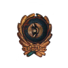 Нагрудный знак командного состава РКМ, Каталог значков СССР
